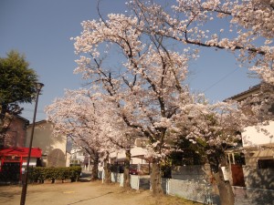 DSCN3180