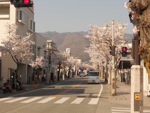 DSCN3181