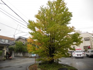 DSCN3791