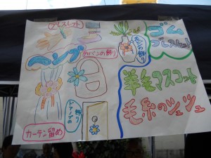 DSCN3829