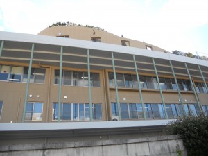 DSCN4037