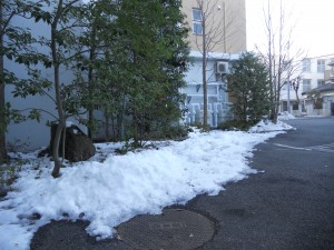 DSCN4355