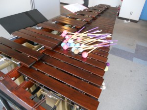 DSCN5352