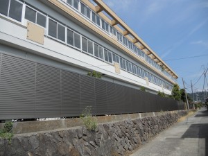 DSCN6387