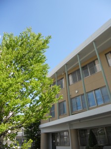 DSCN7549