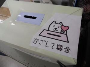 DSCN7691